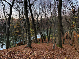 beautiful autumn park in the evening