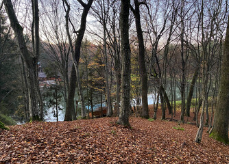 beautiful autumn park in the evening