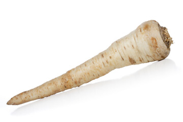 Parsley root