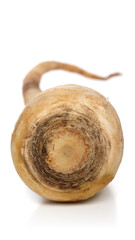 Parsley root