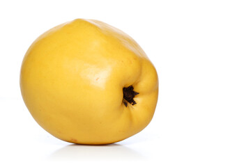 Quince