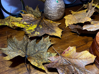 beautiful autumn leaves on a table with a mirror
