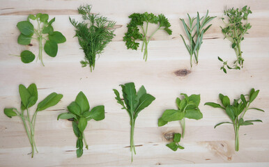 Herbs on wooden background - studio shot