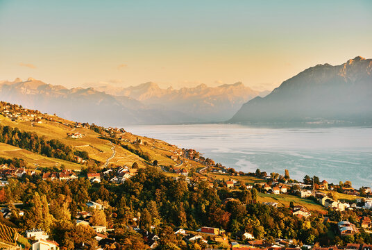 Autumn landscape of Lake Geneva, Lavaux vineyards, Switzerland