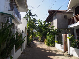 Houses surrounded by beautiful greenery, General Luna, Siargao Island, Philippines, Philippines