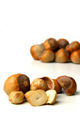 Studio shot of hazlenuts on white background