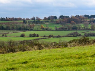 Green fields in Yorkshire