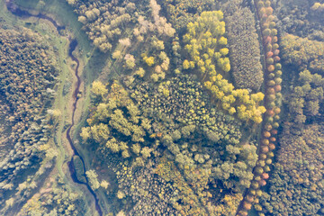 From above on 23 October 2019, I looked down on a patchwork of yellow-leaved trees, green fields and a meandering stream in the Netherlands, capturing the shapes and textures of the autumn countryside