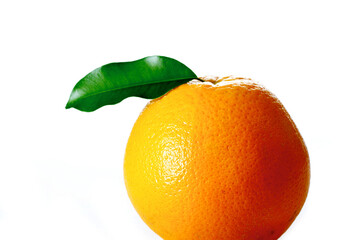 Studio shot of orange on white background