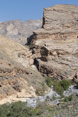 A towering rock stack rises sharply from the rugged slopes of Jabal Shams in Oman on 8 February 2020, displaying layers of weathered limestone above green shrubs in the desert canyon landscape.