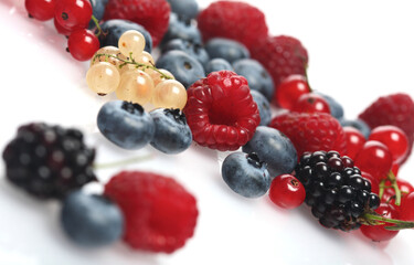 Berries on white background - close-up