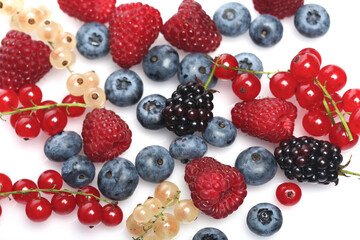 Berries on white background - close-up