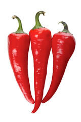 Chili peppers on white background