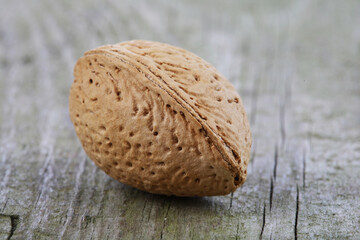 Almond in Shell - close-up