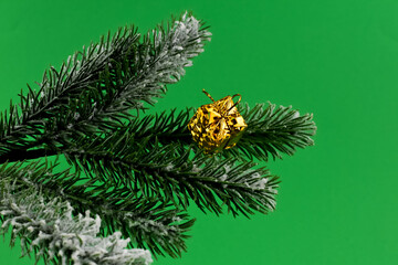 Kolorowe ozdoby świąteczna na zielonej gałązce choinki.