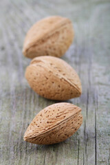 Almond in Shell - close-up
