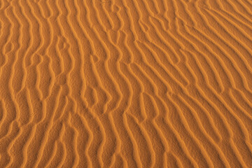 Fototapeta na wymiar Patterns in the desert