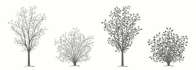 Tree and shrub in two versions in black and white