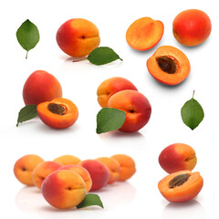 Apricots on white background - studio shot