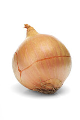 Onions over white background - close-up