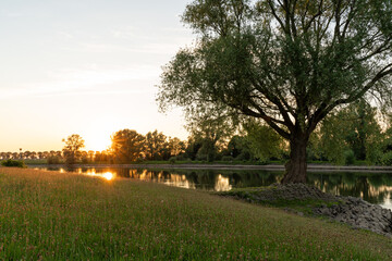 Golden-hour scene near Vorden in the Netherlands, May 2020, featuring silhouetted trees and hedgerows along a quiet rural path as the sun sets behind distant farm fields, casting warm orange light acr