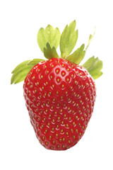 Strawbwrry