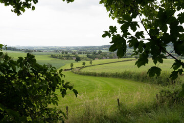 A leafy tree branch frames the panoramic farmland landscape of Limburg’s hilly countryside.
