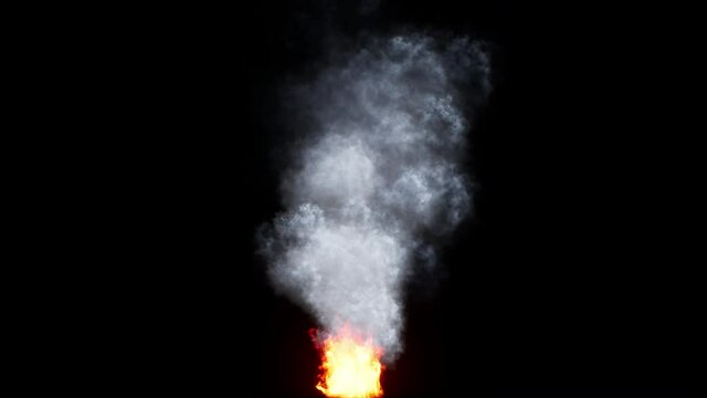 Fire begins to burn and white smoke rises for 20 seconds with alpha channel (transparent background) - Resolution: 2160 * 3840 Pixels 30fps