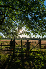 Sunlit park scene in Vreden, Germany, featuring a mature tree casting dappled shade over a wooden fence and grassy path on a warm July afternoon. Soft backlight filters through green leaves, evoking a