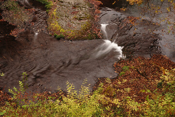 紅葉と落ち葉が積もった菊池渓谷の秋の風景