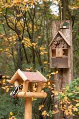 wooden bird house