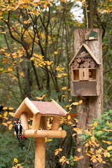 wooden bird house