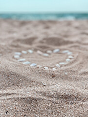heart