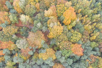 Kilder, Netherlands - oktober 2020