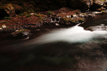 紅葉と落ち葉が積もった菊池渓谷の秋の風景