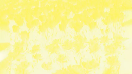 Foto op Plexiglas Light yellow and white floral background with tulips flowers pattern, panorama © kvitkanastroyu