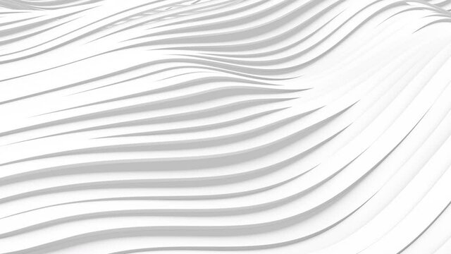 3D animation of White, gray, black wavy stripes background waving and swaying. Future geometric patterns motion background. Rendering in 4K. Room for text.

