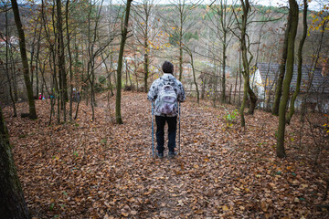 Fototapeta premium forest walk chopsticks