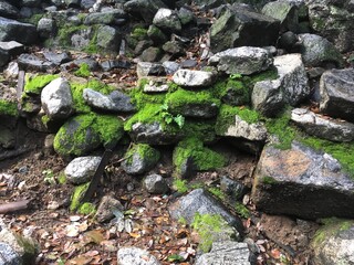 Sturtevant Falls hike in the San Gabrielle Mountains.