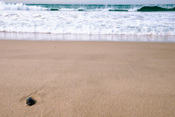 Beach10436