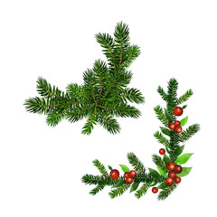 Christmas Holly brunches decoration vector