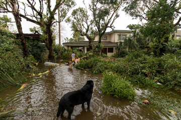 Naga City, Philippines - November 1, 2020: Aftermath of the super typhoon Goni. A young boy walking...