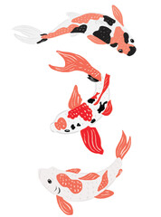 Koi fish set of 3 isolated on white background