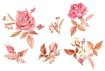 Beautiful compositions of roses, leaves, cotton, pepper and linden on a white isolated background. Watercolor hand-drawn elements. Nice design for clip art, stickers, cards, giftware and merchandise. 