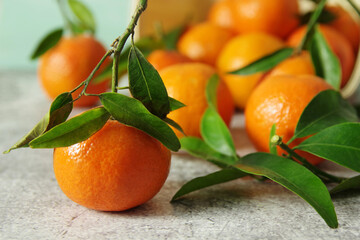 Fresh fragrant mandarins. Ripe juicy tangerines with green leaves on the table. 