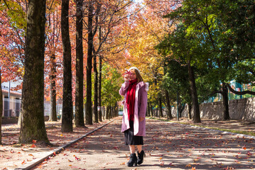 紅葉の中にいる若い女性