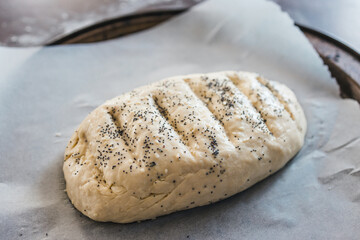 simple food ingredients, homemade australian damper bread without yeast before going in the oven