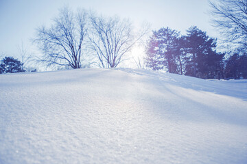 White snow winter landscape with trees background. Christmas holiday backdrop. Seasonal fresh white colour snow nature texture wallpaper. Crisp shiny ice frosty snow on sunny day outdoors.