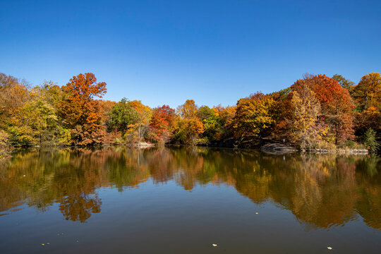Trees around Bank Rock Bay and Oak Bridge reflect off the Lake from in Central Park, New York City.