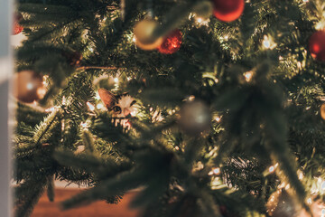 Cat in Christmas Tree